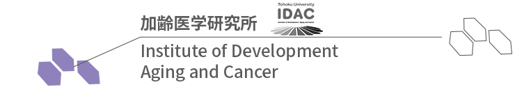 Institute of Development, Aging and Cancer, Tohoku University