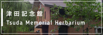津田記念館 TSUDA Memorial Hall