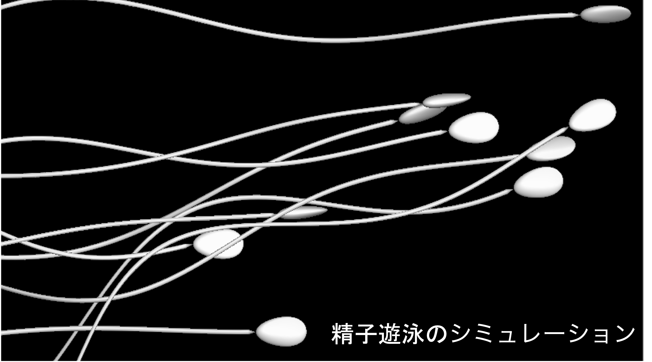 Meet Our Rising Stars