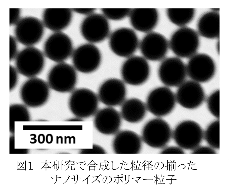ポリマーをナノ粒子形状に設計することで優れた抗菌性を発現することを発見<br>- 銀などの高価な金属元素を使わない抗菌性ナノ材料 -