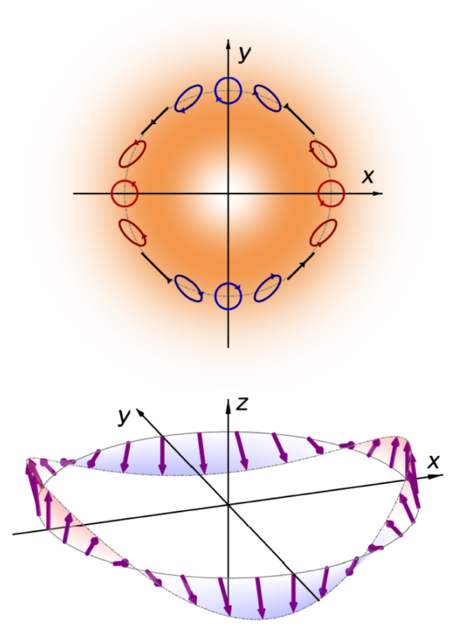 ベクトル光渦の偏光空間構造を半導体中のスピンに印刷