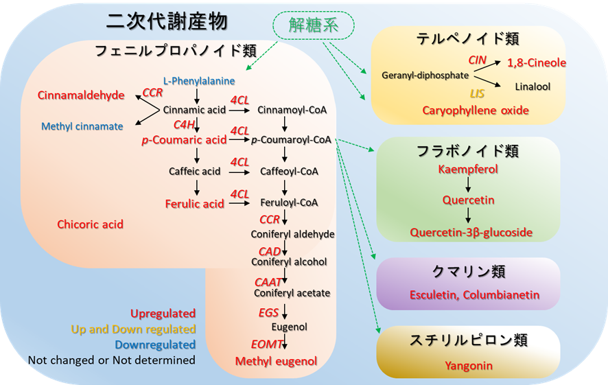 原子鎖が弱結合した擬一次元物質ZrTe₅の大面積薄膜作製技術を開発