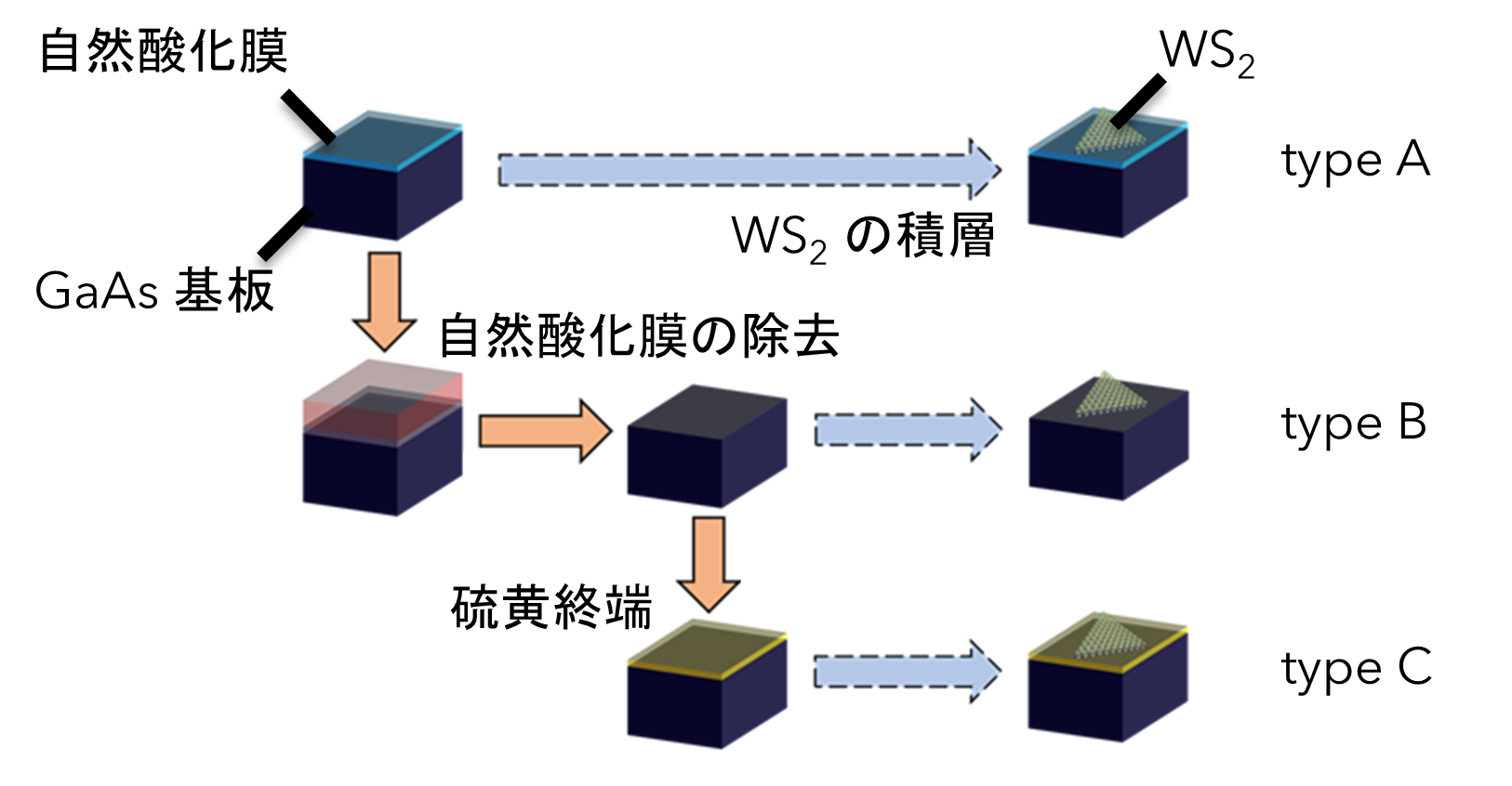 基板の表面処理で原子層二次元半導体の電荷制御に成功