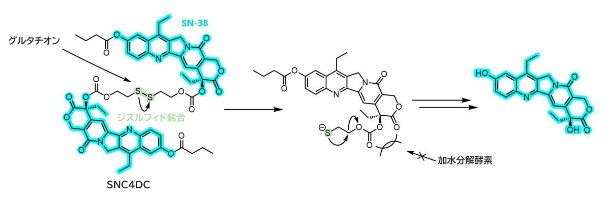 がん細胞内で効率的に薬物を放出する新規抗がん剤ナノ粒子の作製に成功