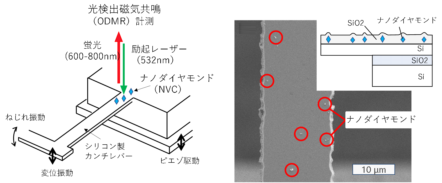 ダイヤモンドをシリコンに固定した超精密微小機械応力センシングを開発