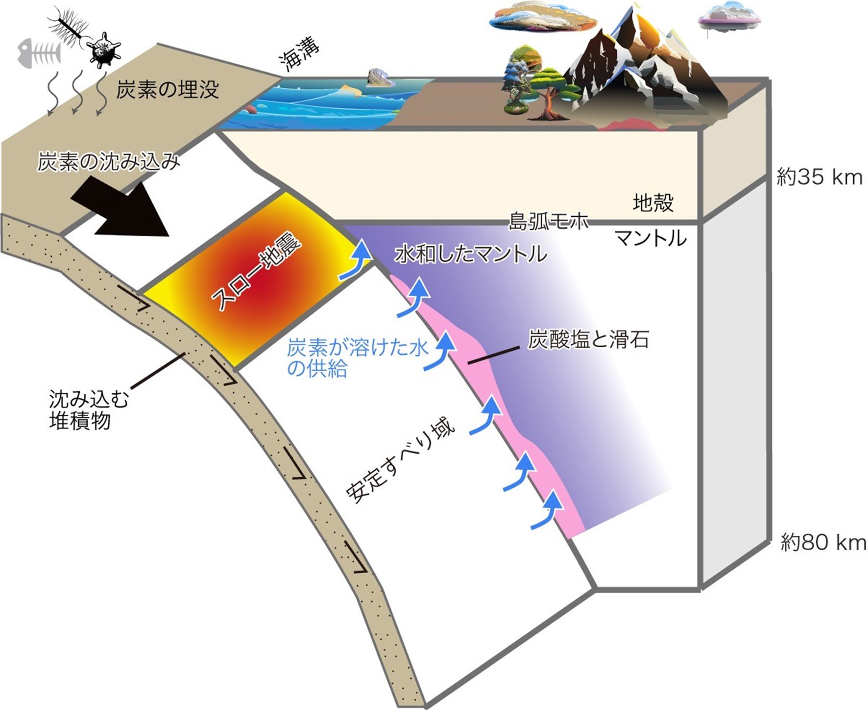 沈み込む炭素がプレートをマントルとの境界で滑りやすくすることを発見