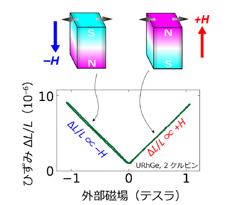 強磁性体における圧磁効果を発見