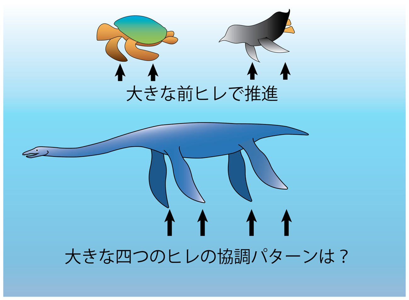 生物規範型制御方式から首長竜の遊泳様式を復元