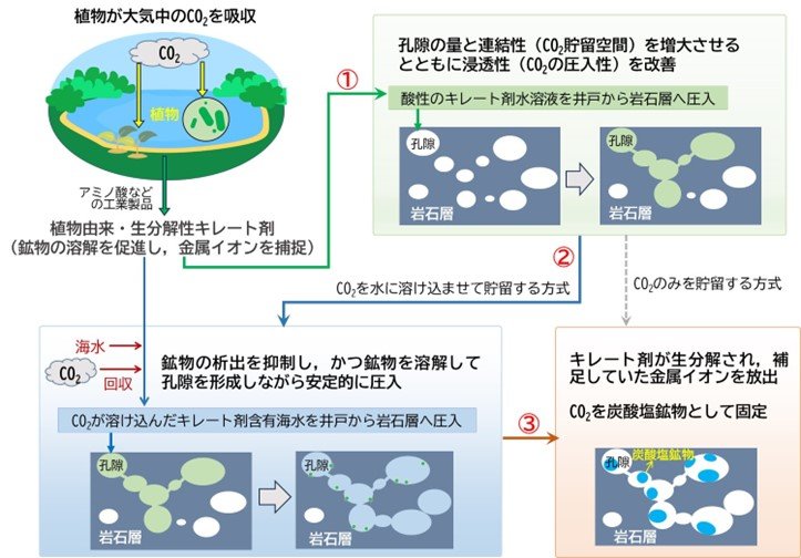 植物由来・生分解性物質を利用したCO2削減技術を発明