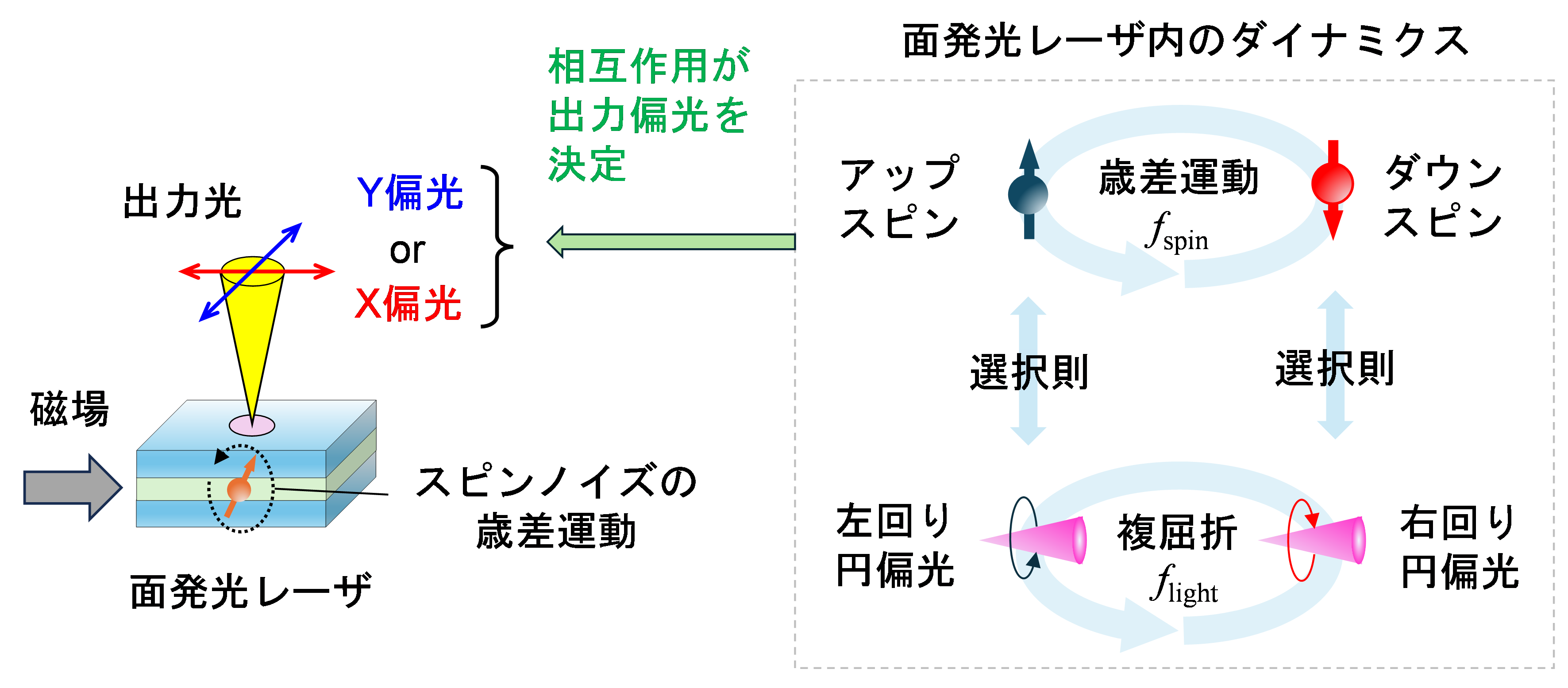 電子スピンで高速・省電力で制御可能な光メモリの性能を実証