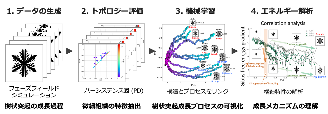 薄膜生成時の枝分かれ現象を、トポロジー・物理・AIの融合で解明