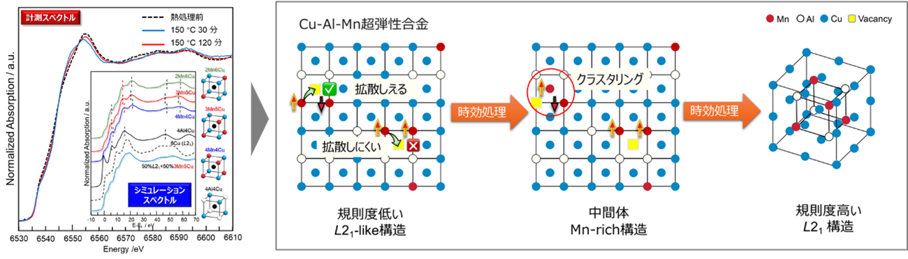 次世代形状記憶合金の原子配列と原子の動きの観察に成功