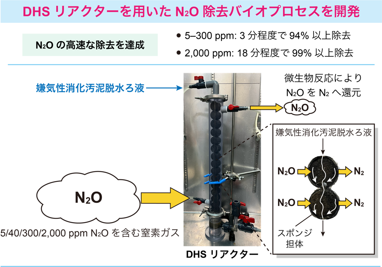 強力な温室効果ガスN₂Oを高速除去できるバイオプロセスを開発