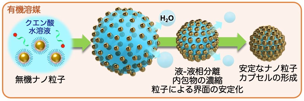 薬剤を2,000倍濃縮して閉じ込める！