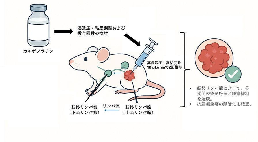 抗がん剤カルボプラチンによる新たな転移リンパ節治療法を確立