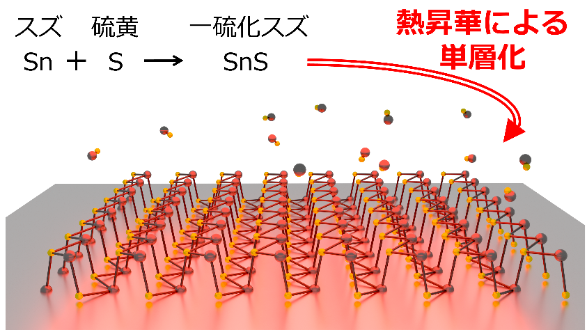 次世代半導体材料SnSの大面積単層結晶の合成技術を確立