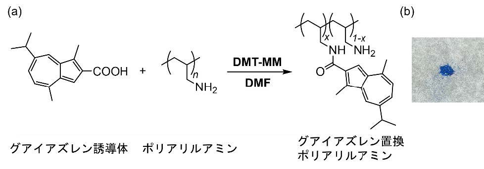 青色グアイアズレン色素の水溶性と酸安定性向上に成功