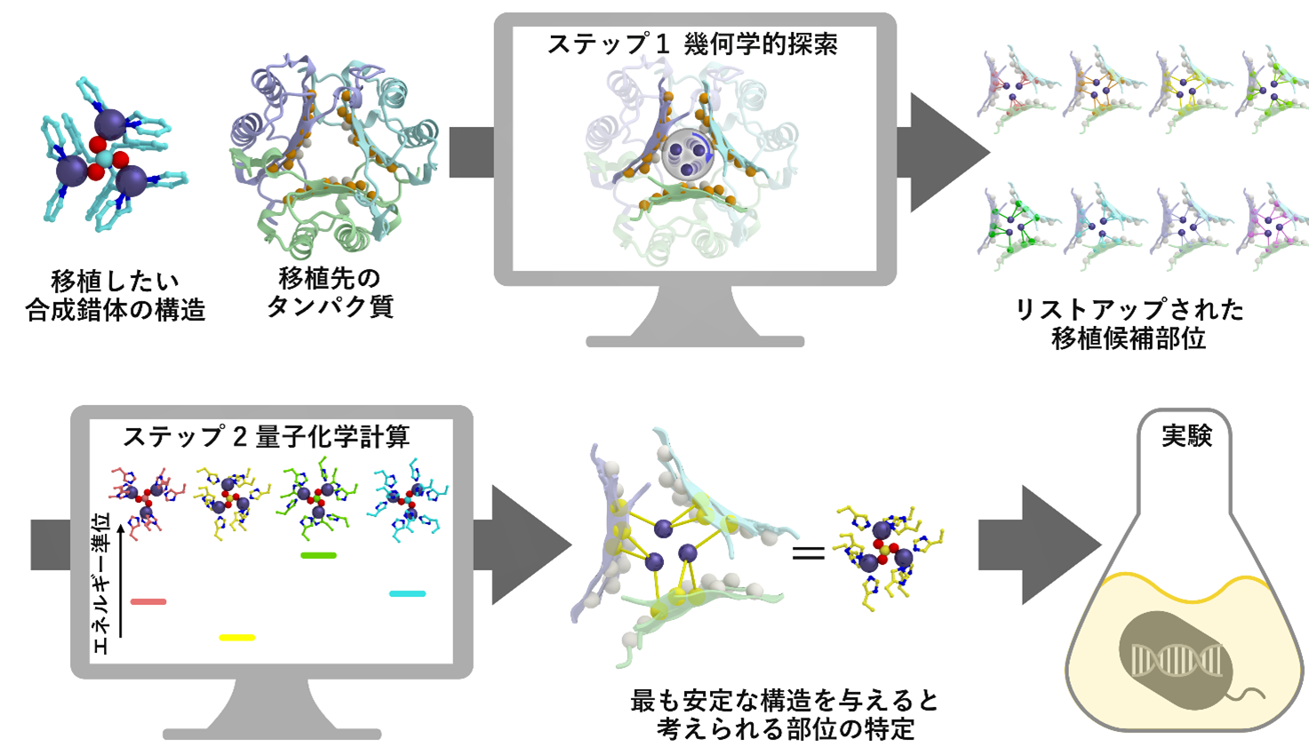 内在性機能と外来性機能を併せ持つ人工酵素を開発