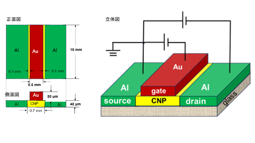 セルロースナノ粒子で高性能電界効果型トランジスタを開発