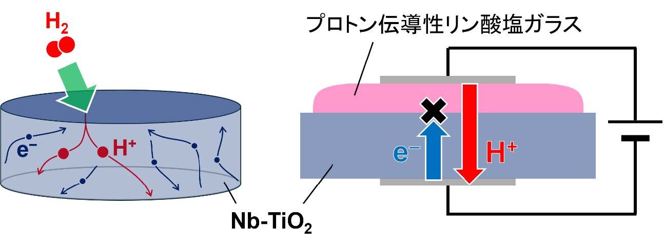 プロトンと電子の両方が高速に伝導する酸化物を発見