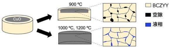 プロトン伝導性セラミックスを低温で緻密に焼結できる機構を解明