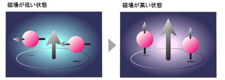 磁場を味方にするウラン超伝導の機構を解明