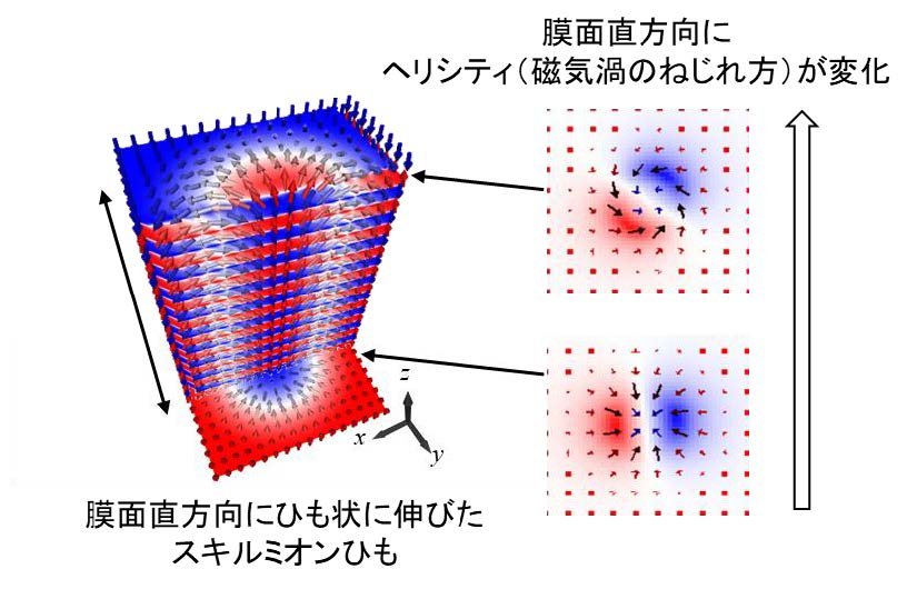 三次元磁気スキルミオンひもの非相反性を観測