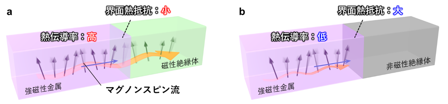 スピンの集団運動で熱の流れを操る新しい手法を実証