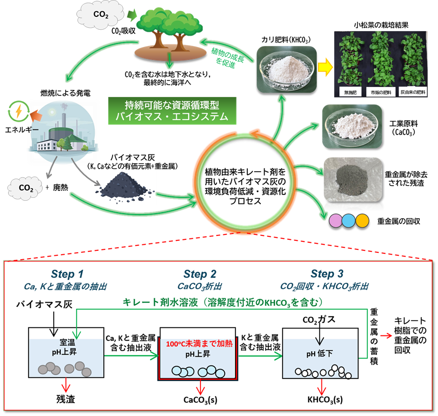 バイオマス灰を利用したCO₂固定・肥料製造プロセス