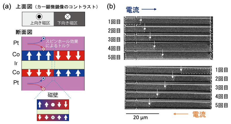 電子スピンのトルクを2重にして磁壁移動を実現