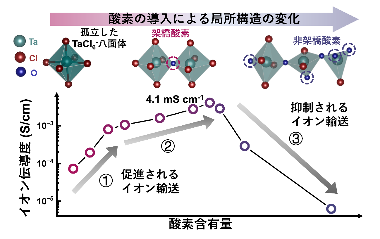 酸素が拓く固体電解質の設計原理