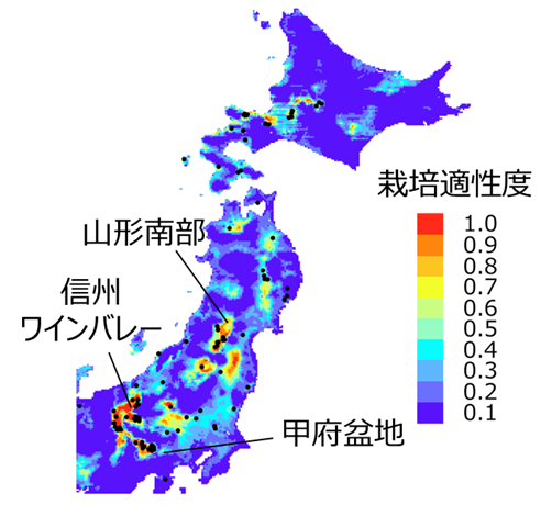 気候変動がもたらすワイン用ブドウの栽培適地の変化