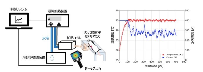 磁気ハイパーサーミアとリンパ系送達法の融合による低侵襲ながん転移治療法を確立