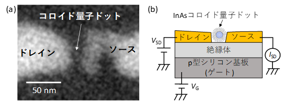 単一コロイド量子ドットで電気的なスピン検出と制御に成功
