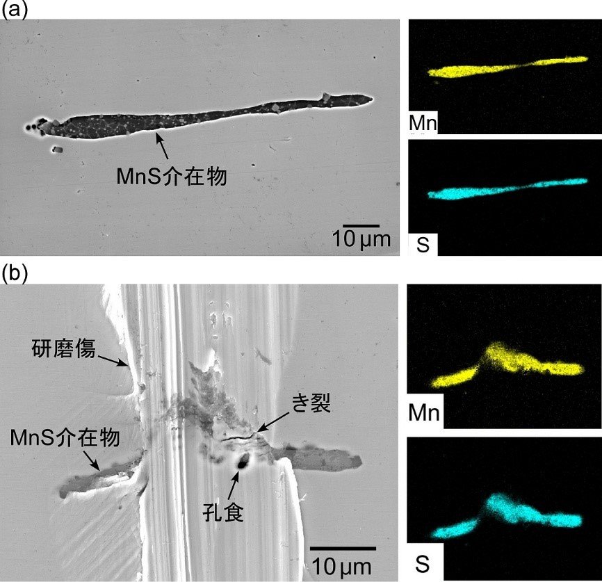なぜ粗い研磨でステンレス鋼は錆びやすくなるのか？