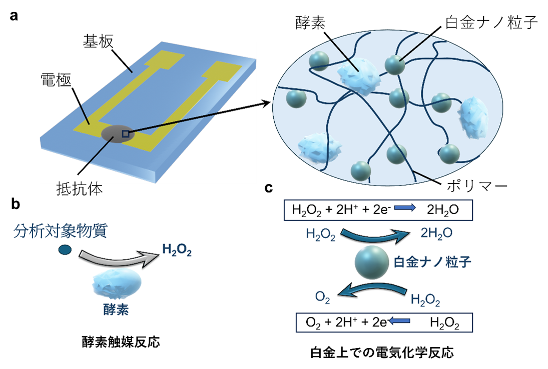 家庭での尿検査を可能にする新技術