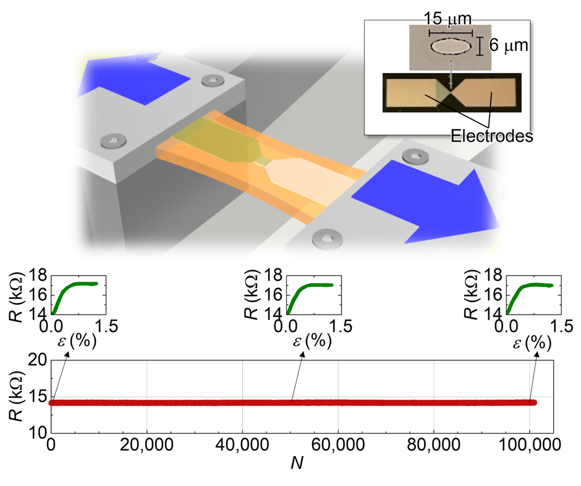実用化の壁を超えるスピン力学センサの誕生