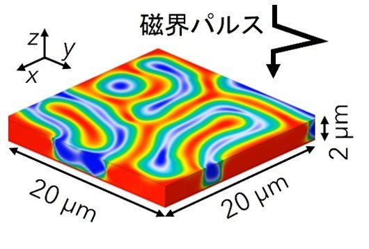 膨張と収縮を繰り返す磁気ドメイン状態を発見
