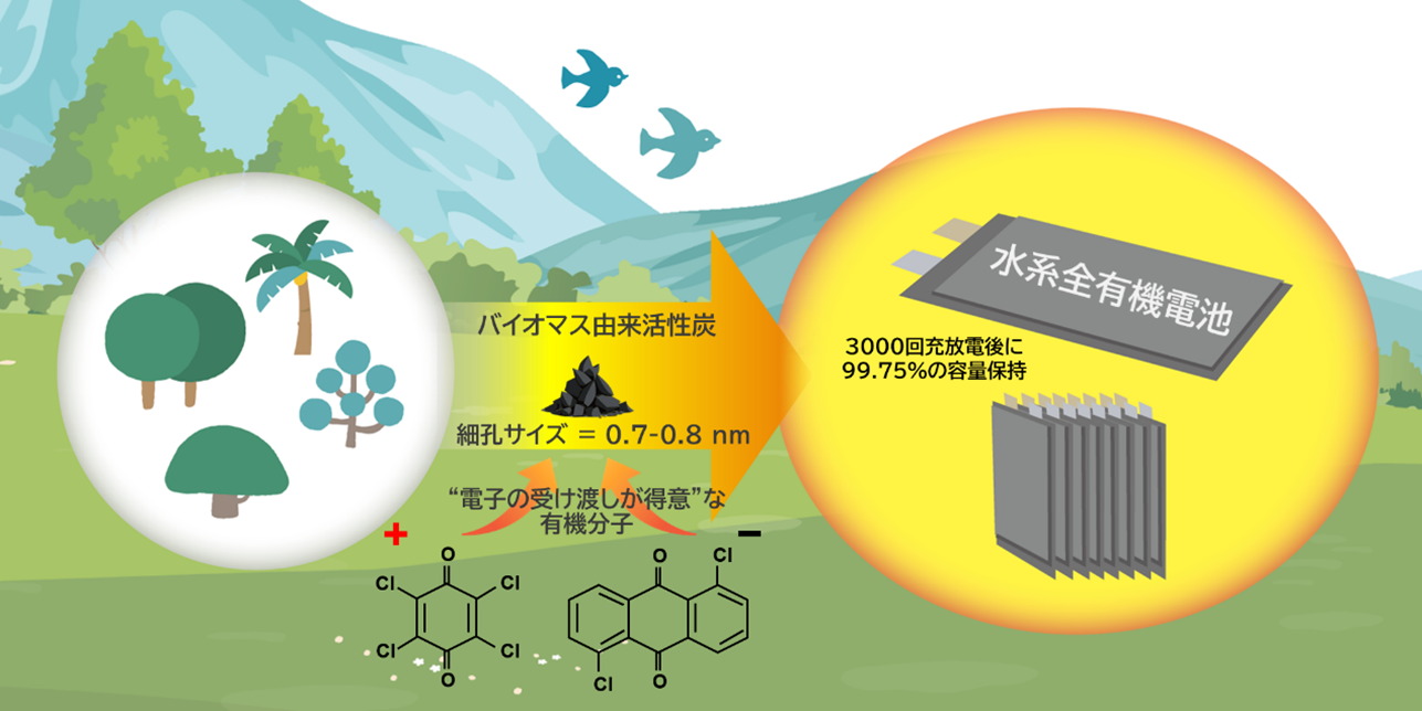 バイオマス炭素材料を使った高耐久な全有機電池を開発