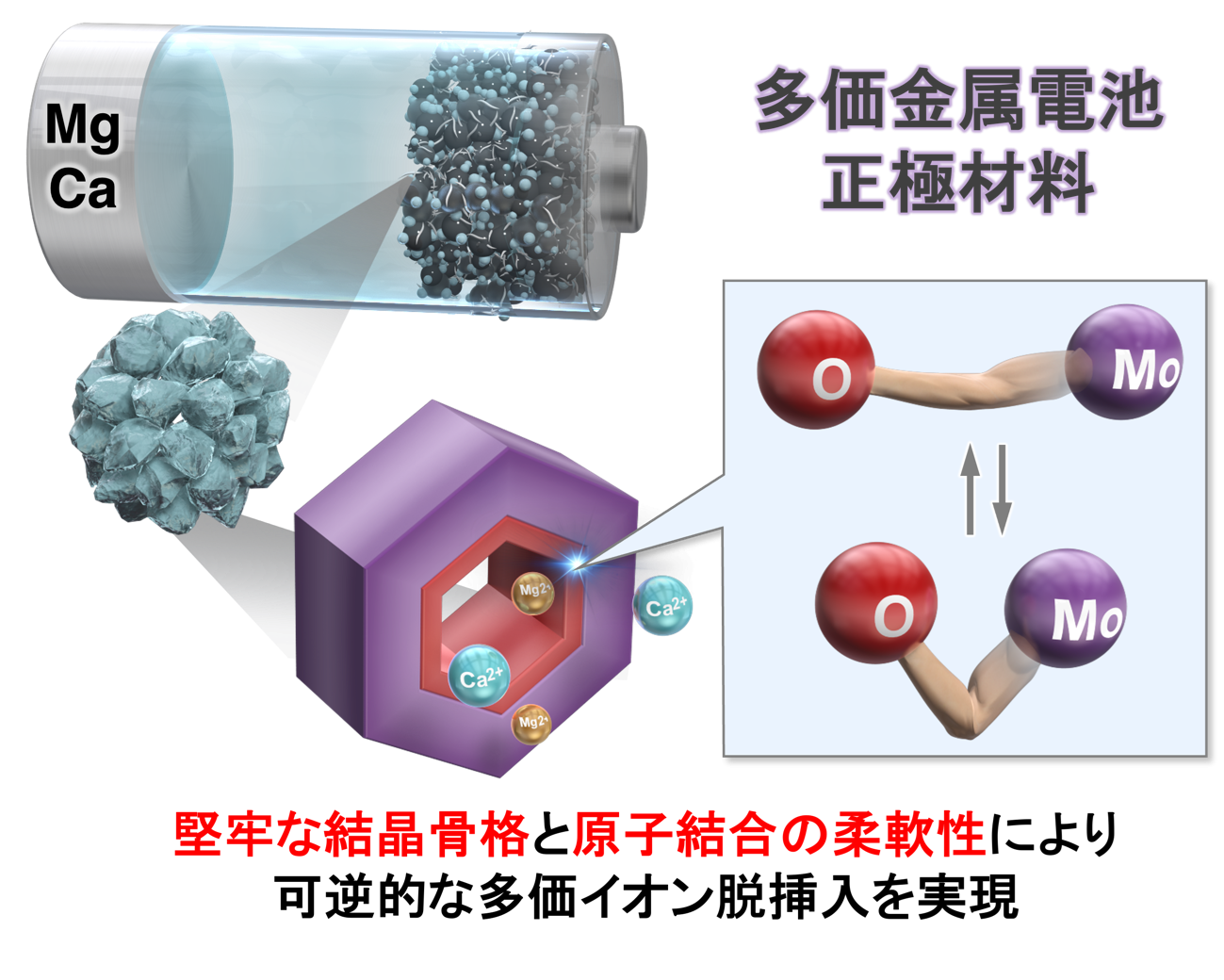 結晶構造の堅牢性と柔軟性が鍵!