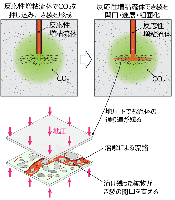 CO2と反応性増粘流体を用いた岩石破砕で、高温・高圧地下環境でも閉じにくいき裂を形成