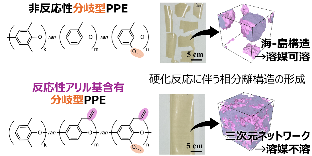 高周波電子基板向けポリマーの耐溶剤性向上の仕組みを解明