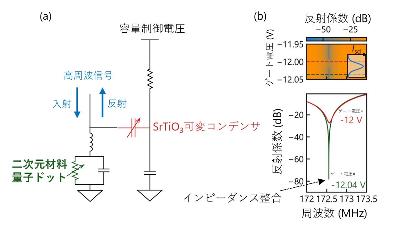 二次元層状材料量子ドットにおける高速測定手法を実証