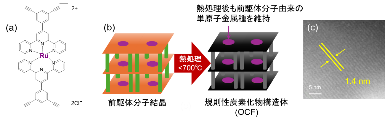 ルテニウム原子を炭素材料に高密度固定することに成功