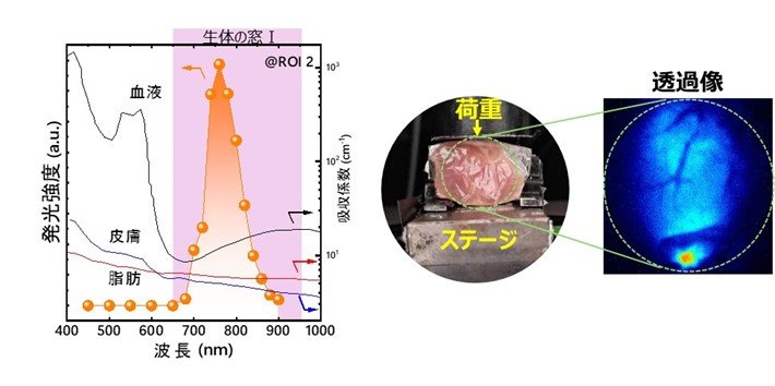 レアアース不要、酸化亜鉛で高感度な応力発光を実現