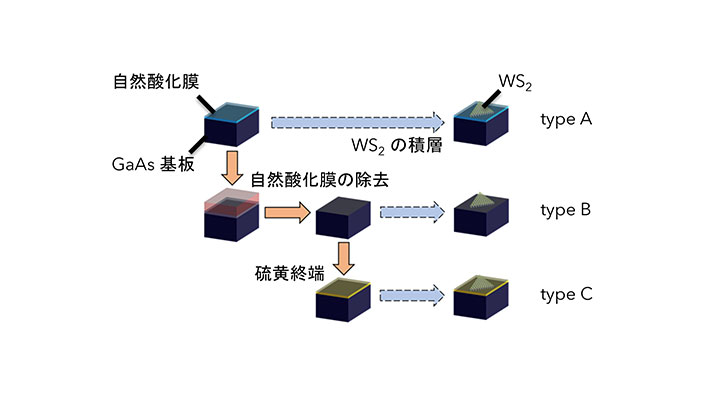 基板の表面処理で原子層二次元半導体の電荷制御に成功