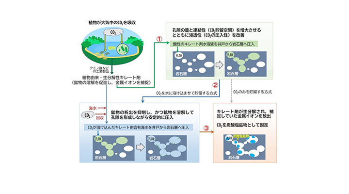 自分で集合と散開をする群体分子ロボットを開発