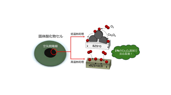 固体酸化物セルのコバルト使用量を削減