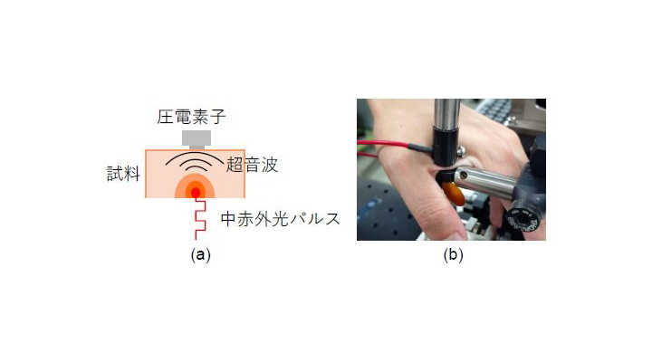 非侵襲で血液成分の分析が可能な新技術を開発