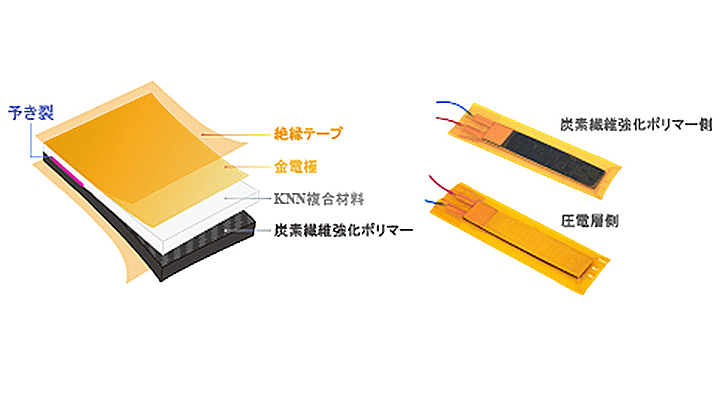 脱細胞化血管の微細構造が細胞機能を誘導することを発見